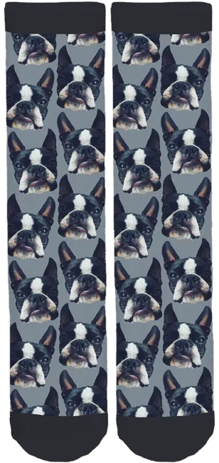 Lenny The Boston Crew Socks